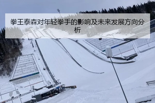 拳王泰森对年轻拳手的影响及未来发展方向分析