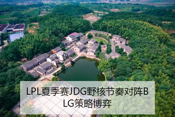 LPL夏季赛JDG野核节奏对阵BLG策略博弈