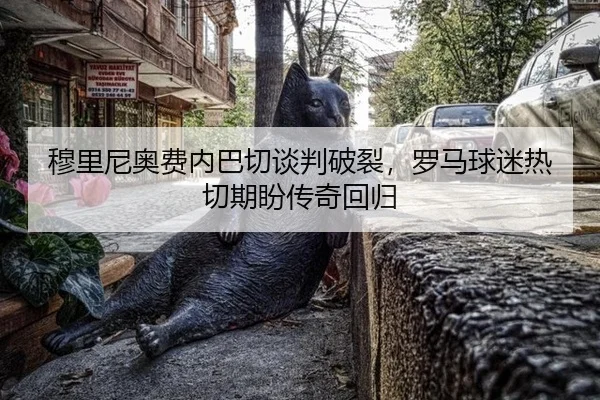 mu-li-ni-ao-fei-nei-ba-qie-tan-pan-po-lie-luo-ma-qiu-mi-re-qie-qi-pan-chuan-qi-hui-gui-2-789.jpg