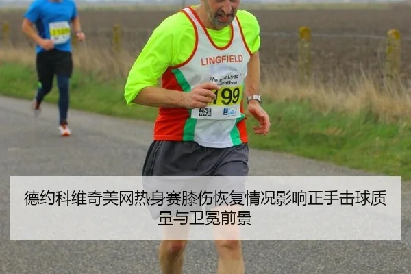 de-yue-ke-wei-qi-mei-wang-re-shen-sai-xi-shang-hui-fu-qing-kuang-ying-xiang-zheng-shou-ji-qiu-zhi-liang-yu-wei-mian-2-449.jpg